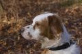 Filename=alko_4.jpg
Filesize=60KB
Dimensions=800x533
Date added=Jan 20, 2010 alko_4.jpg