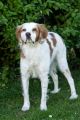 Filename=alko_b2.jpg
Filesize=145KB
Dimensions=800x1200
Date added=Jun 13, 2010 alko_b2.jpg