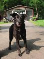 Filename=ursula_1.jpg
Filesize=116KB
Dimensions=600x803
Date added=May 25, 2012 ursula_1.jpg